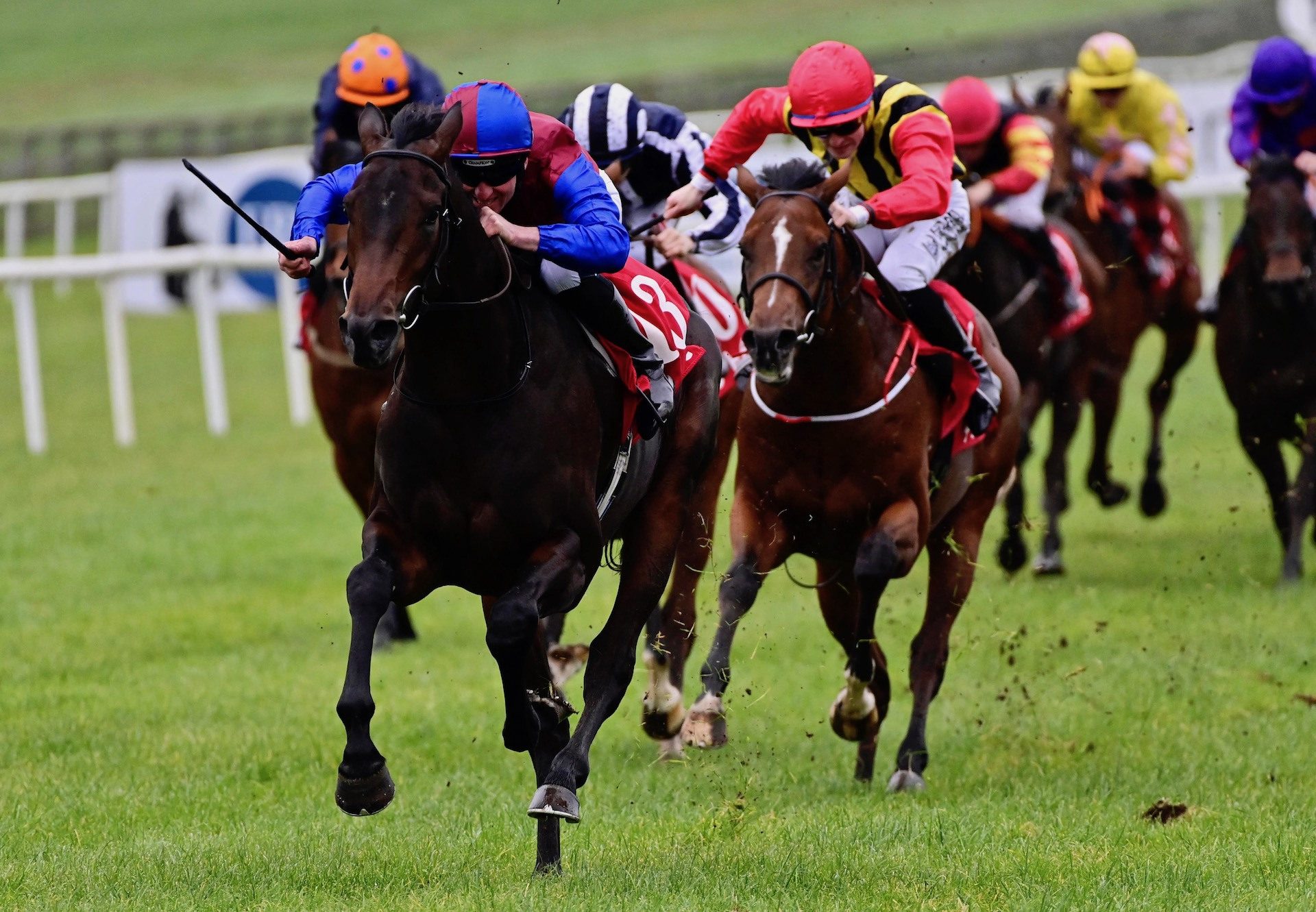 Samuel Colt (No Nay Never) Wins His Maiden At The Curragh