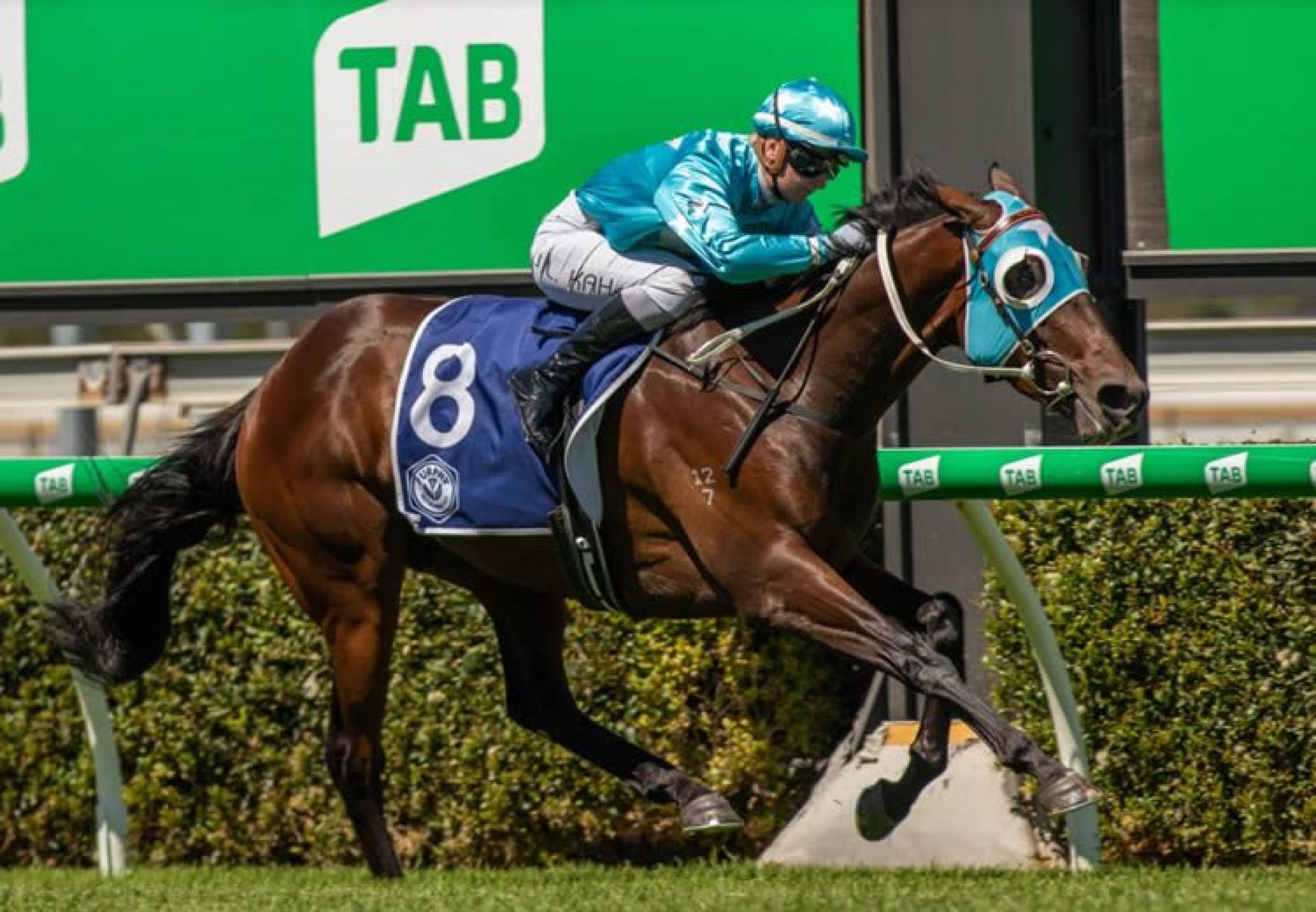 Night Raid (Vancouver) winning the Listed Matrice Stakes at Moonee Valley