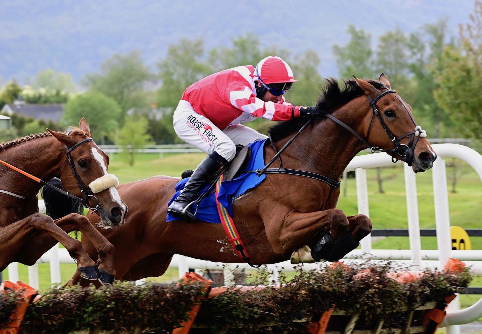 Edison Kent (Leading Light) Wins The Maiden Hurdle At Killarney