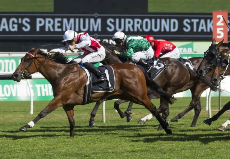 Shoals (Fastnet Rock) winning the G1 Surround Stakes at Randwick