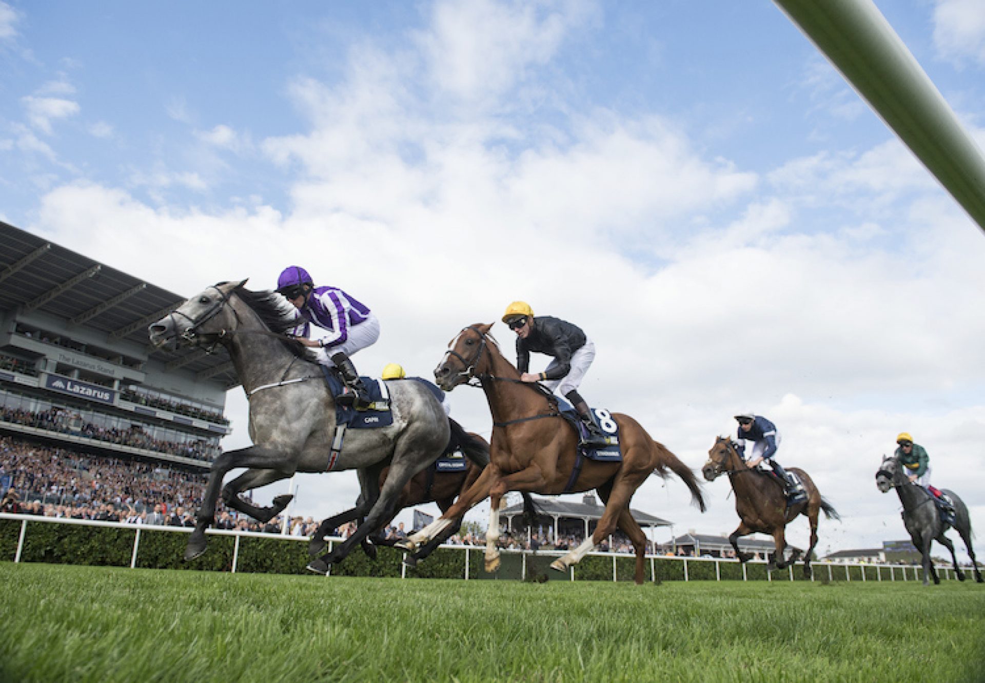 Capri winning the Gr.1 St Leger