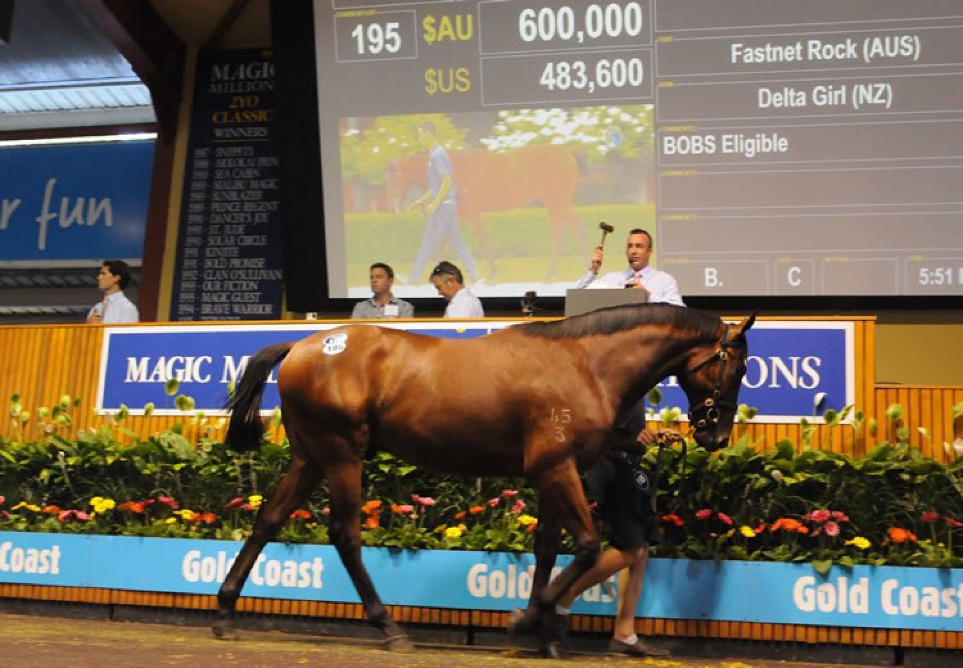 Fastnet Rock ex Delta Girl yearling colt selling for $600,000 at the 2015 Magic Millions Yearling Sale