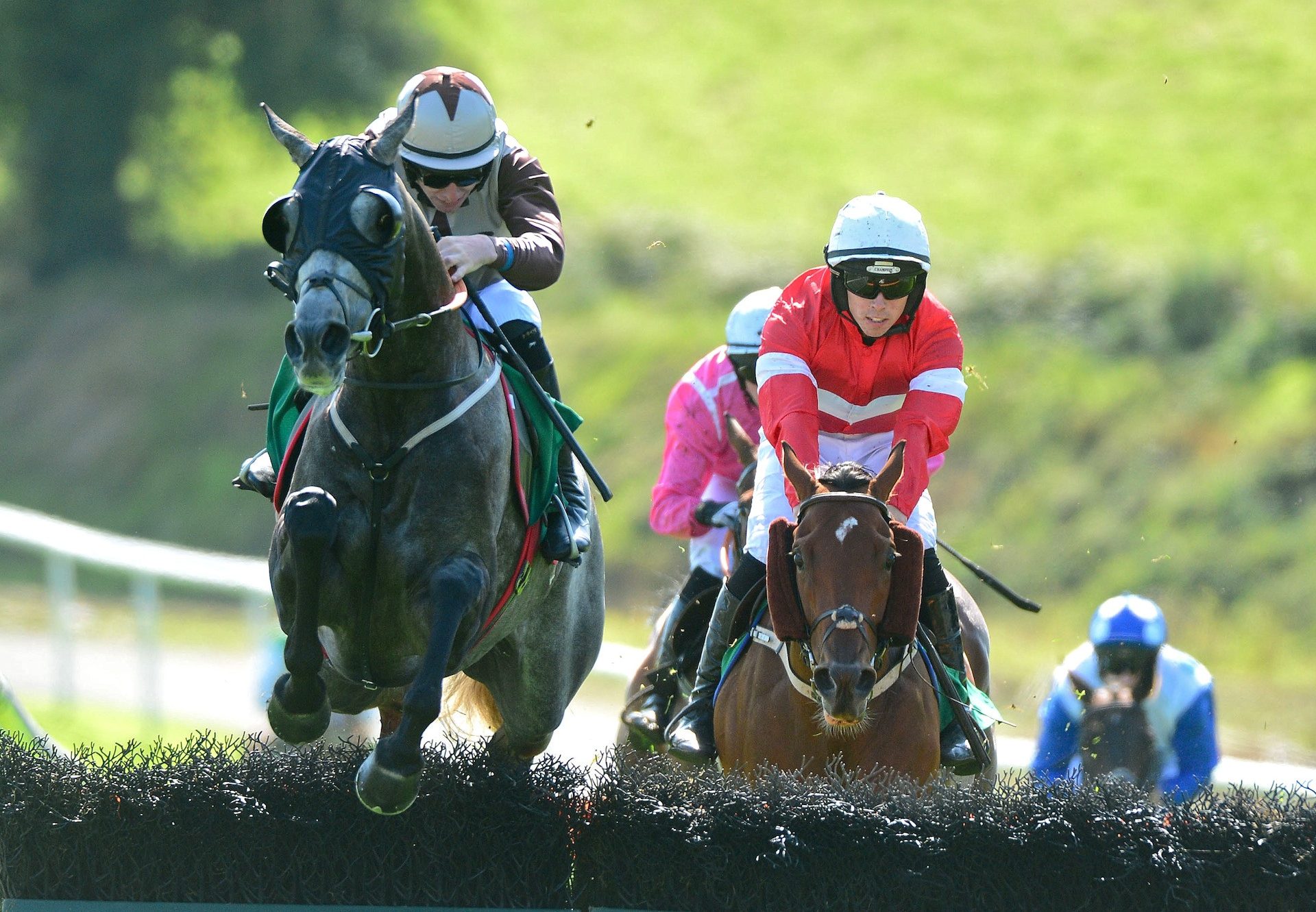 Cats For Cash (Mahler) winning a maiden hurdle at Downpatrick