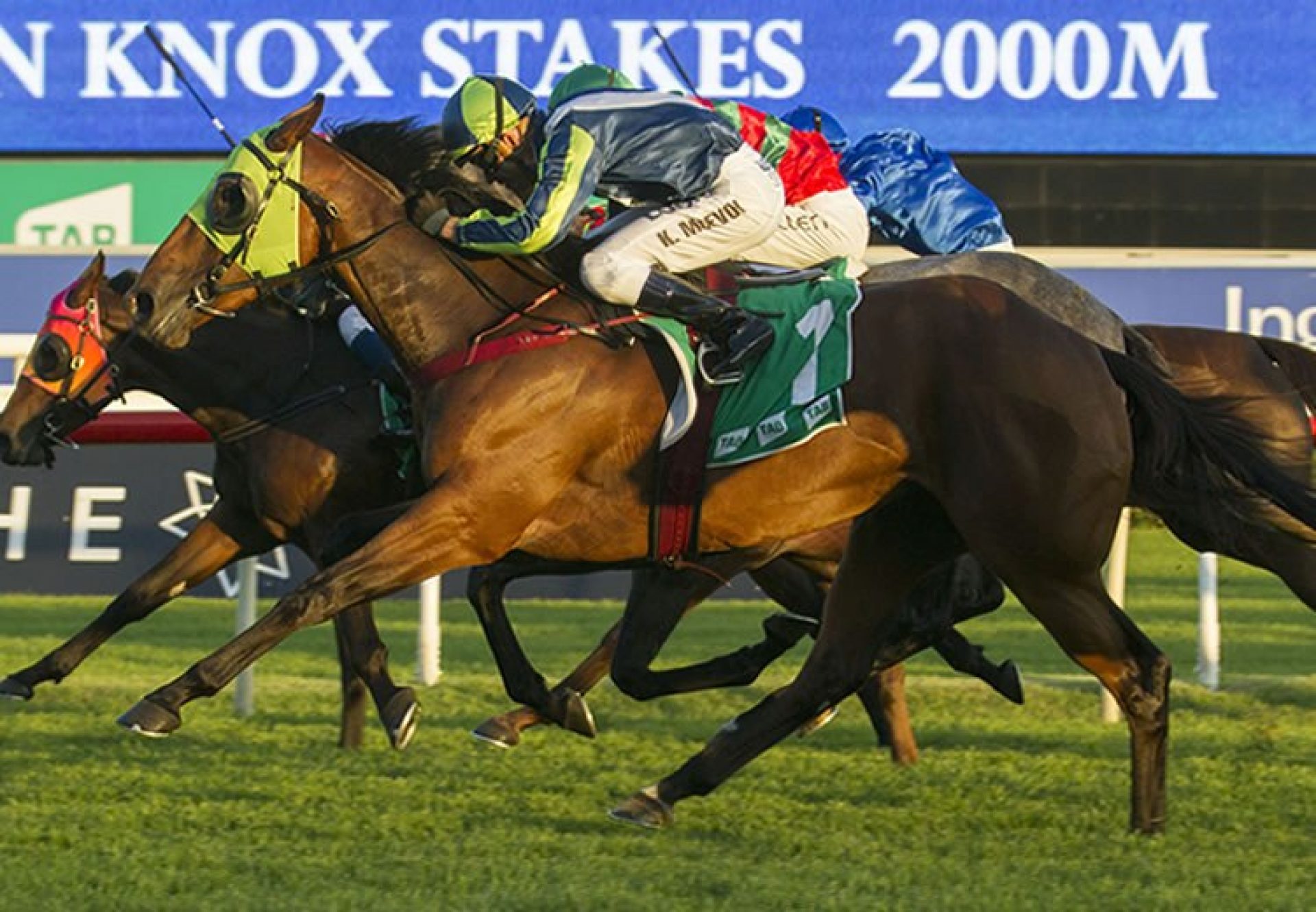 Luvaluva (Mastercraftsman) winning the G3 Adrian Knox Stakes at Randwick