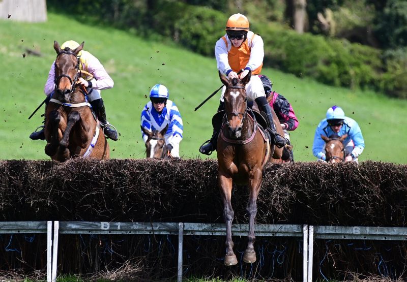 Lets Mingle (Walk In The Park) winning the 4YO Mares Maiden Point-To-Point at Loughanmore