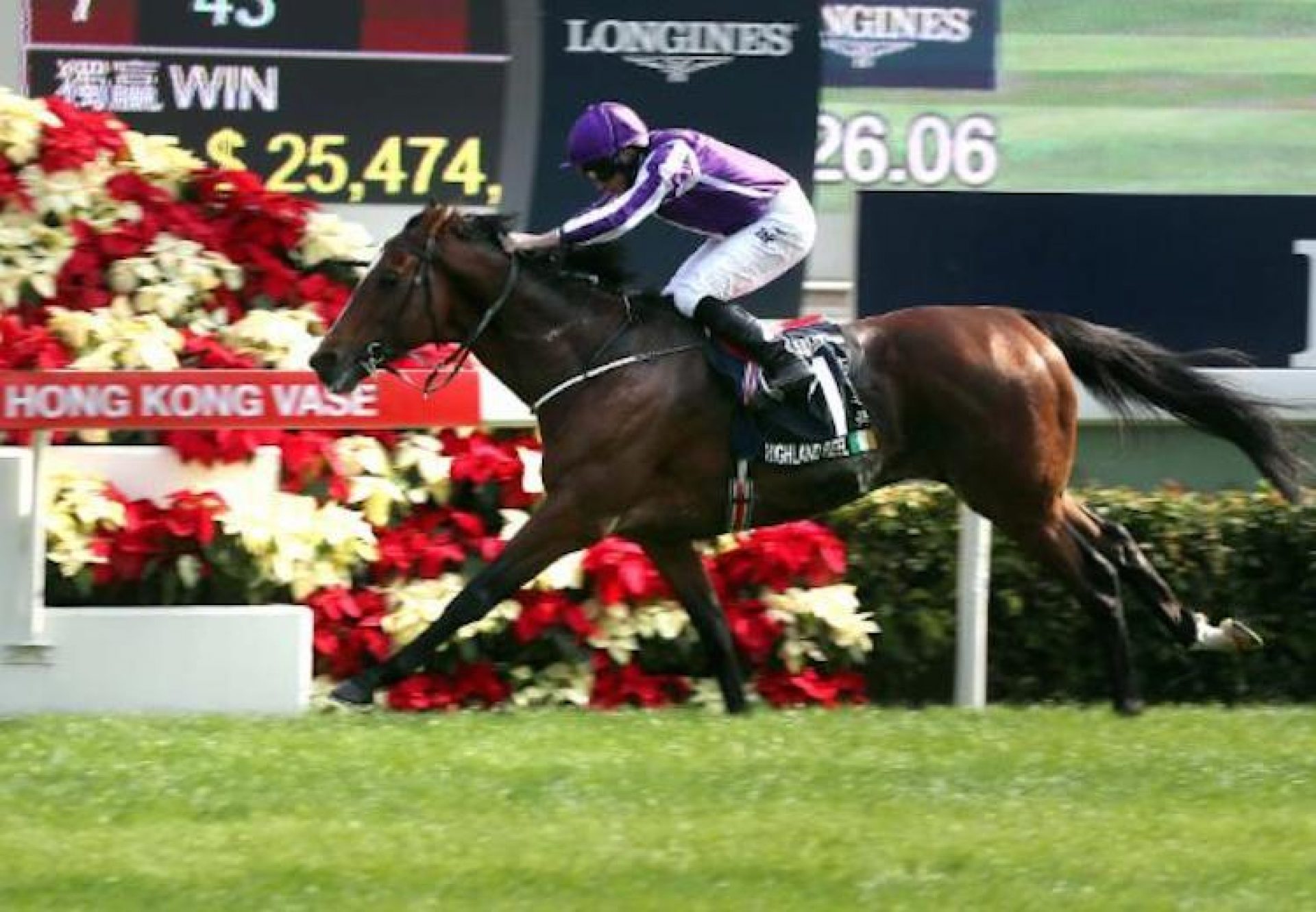 Highland Reel (Galileo) winning the G1 G1 Longines Hong Kong Vase at Sha Tin