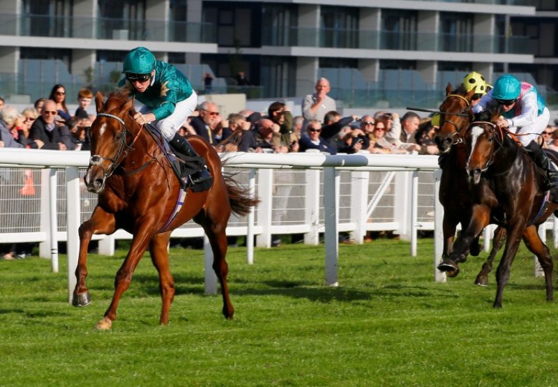 Extra Elusive (Mastercraftsman) winning a maiden at Newbury