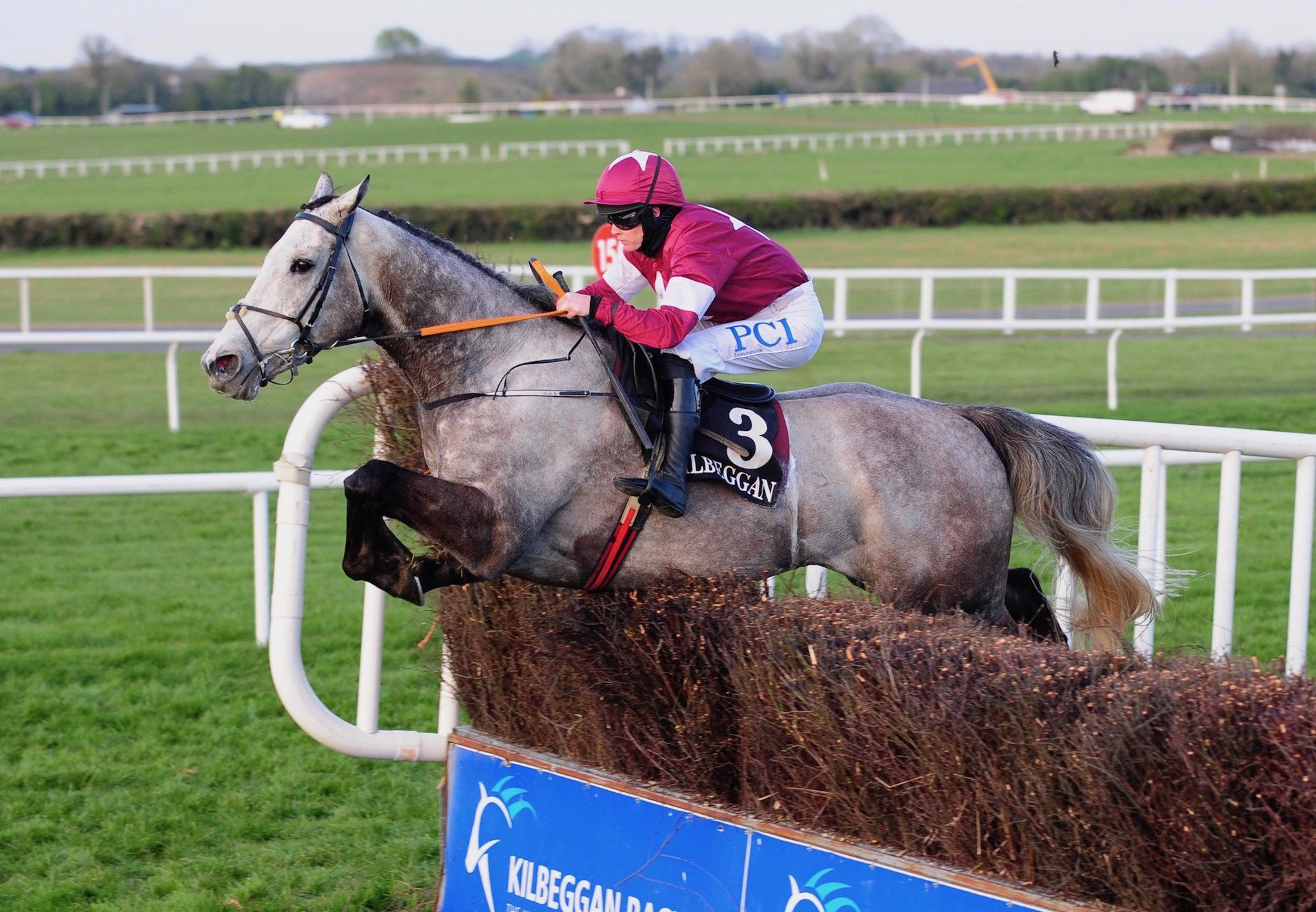 Cavalry Master (Milan) Wins The Beginners Chase In Kilbeggan