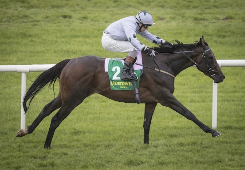 Tonkin (Camelot) winning a maiden at Listowel