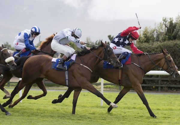 Canary Row (Holy Roman Emperor) winning the Listed Vincent Ruby Stakes at Killarney