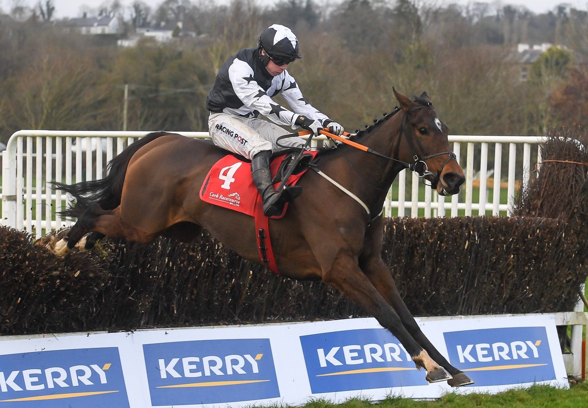 Mount Ida (Yeats) Wins The Grade 3 Mares Novice Chase At Cork