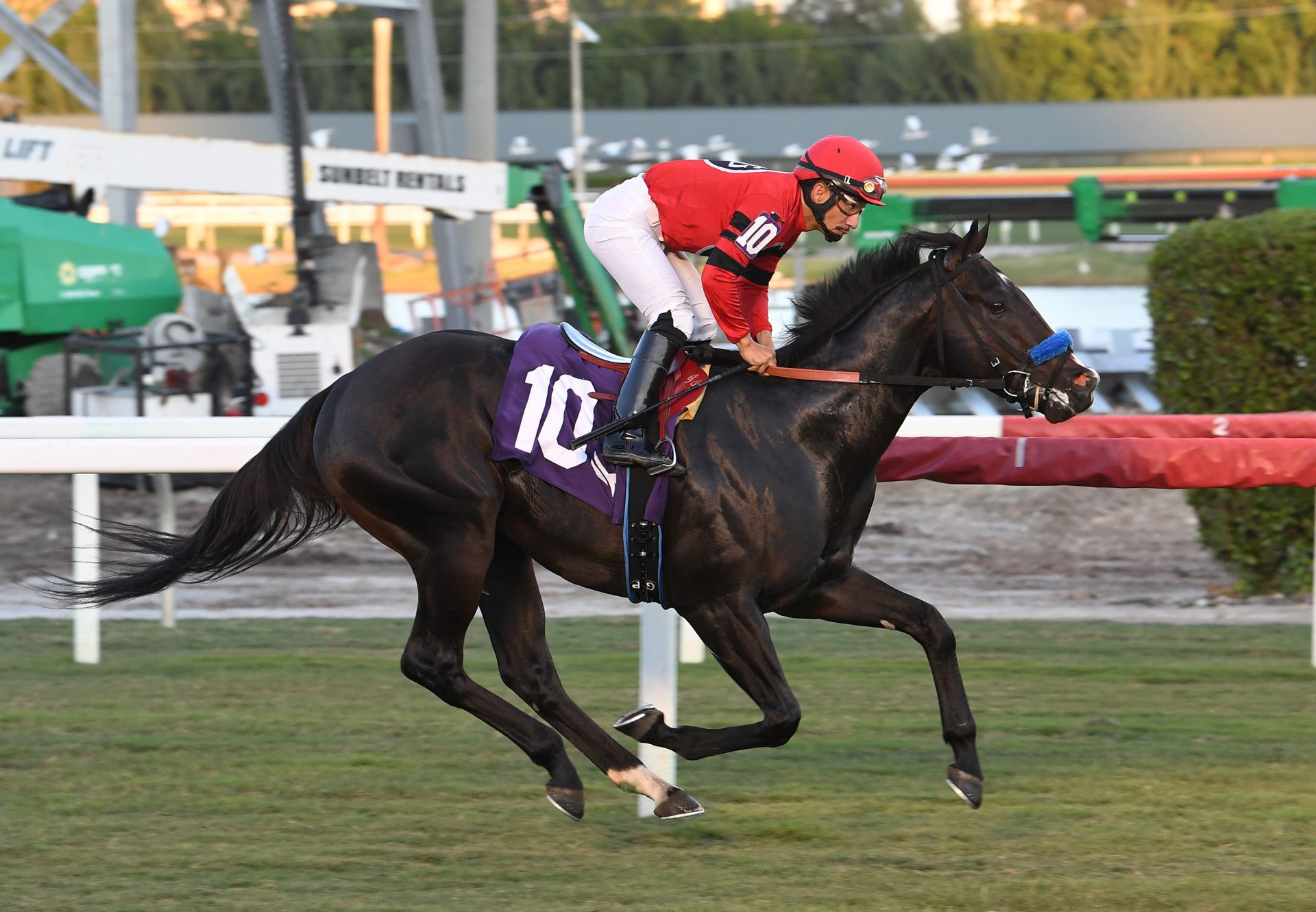 Classicstateofmind (Classic Empire) winning Gulfstream Maiden