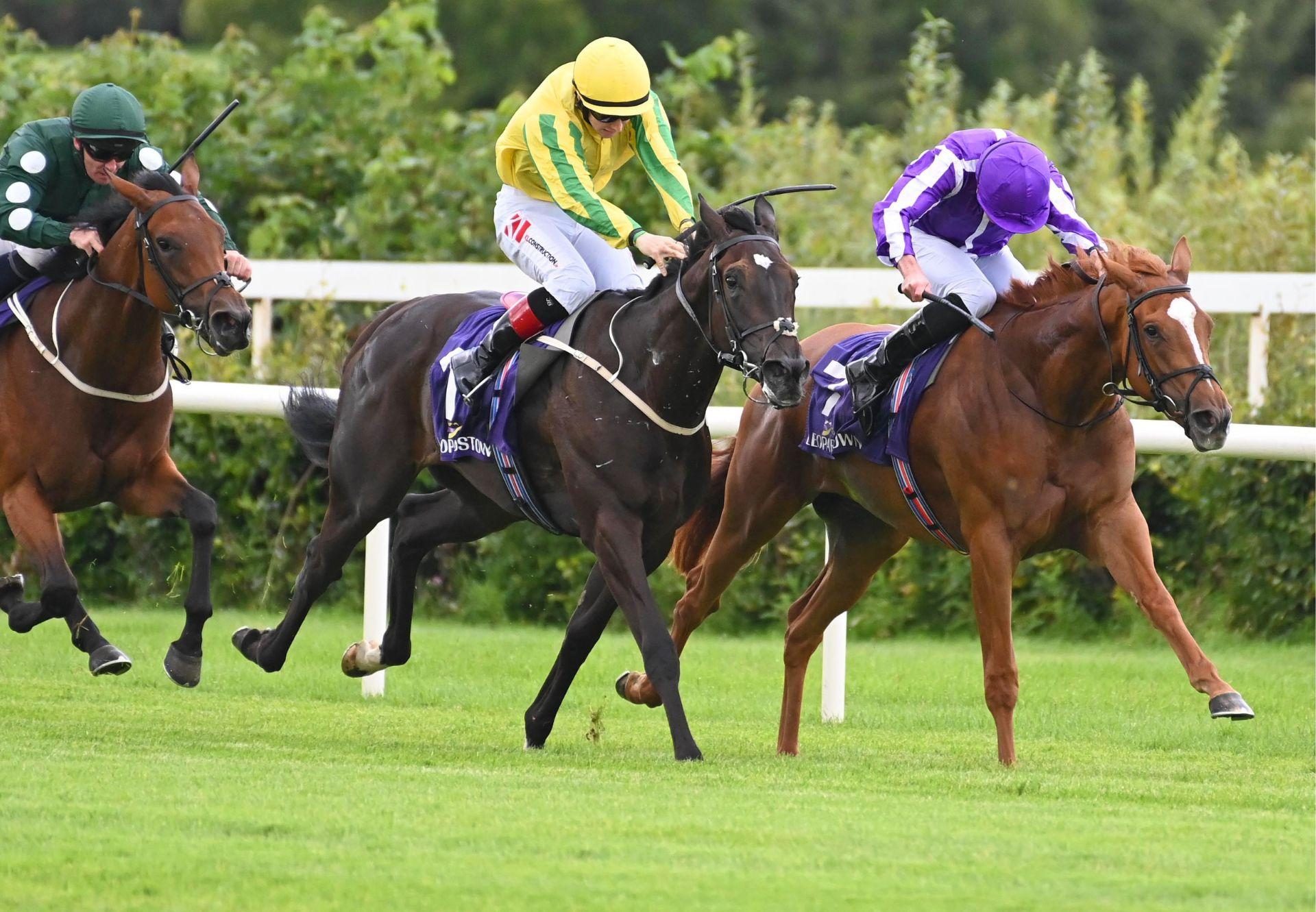 Brilliant (Gleneagles) wins her maiden at Leopardstown