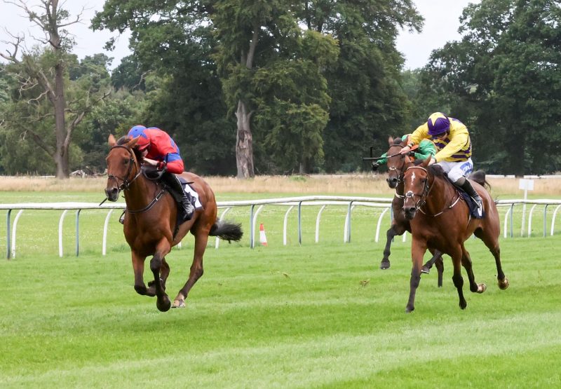 Aughafatten (Mahler) Wins The Bumper At Perth