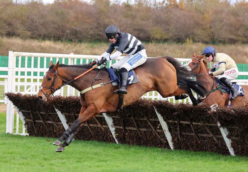 Blue Baloo (Mahler) Wins The Mares Maiden Hurdle At Newcastle