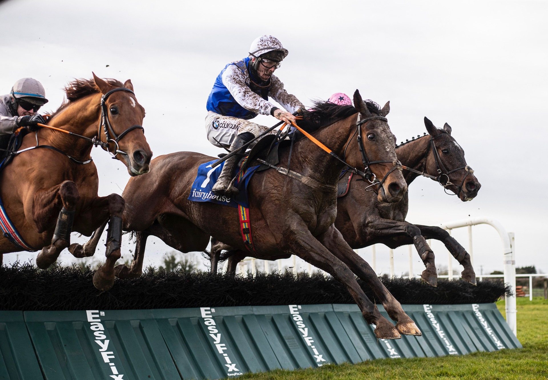 Light Brigade (Leading Light) Wins The Maiden Hurdle At Fairyhouse