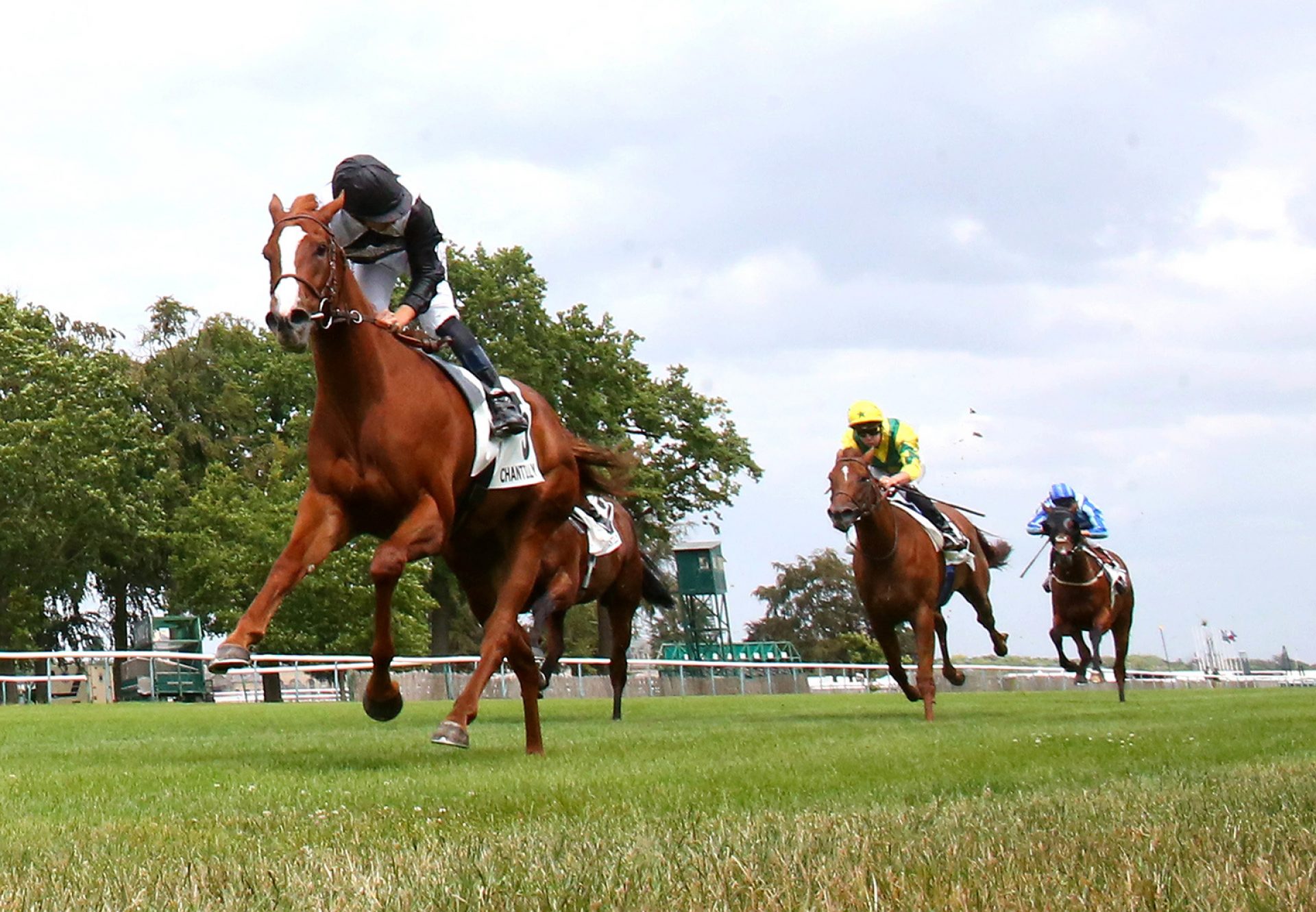 Ramatuelle (Justify) Wins Gr 2 Prix Robert Papin at Chantilly