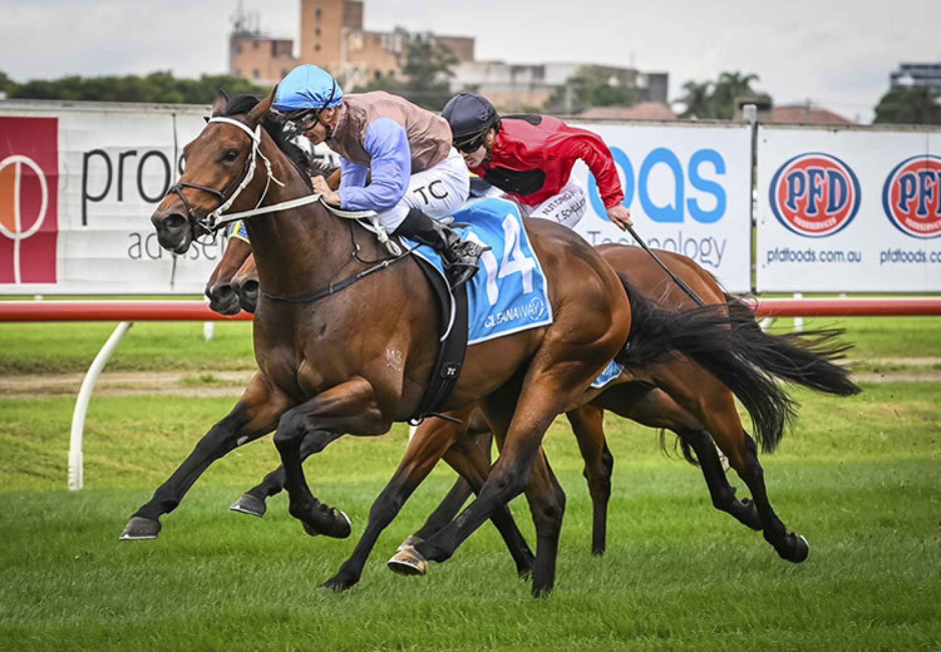 O'President (Fastnet Rock) winning at Newcastle