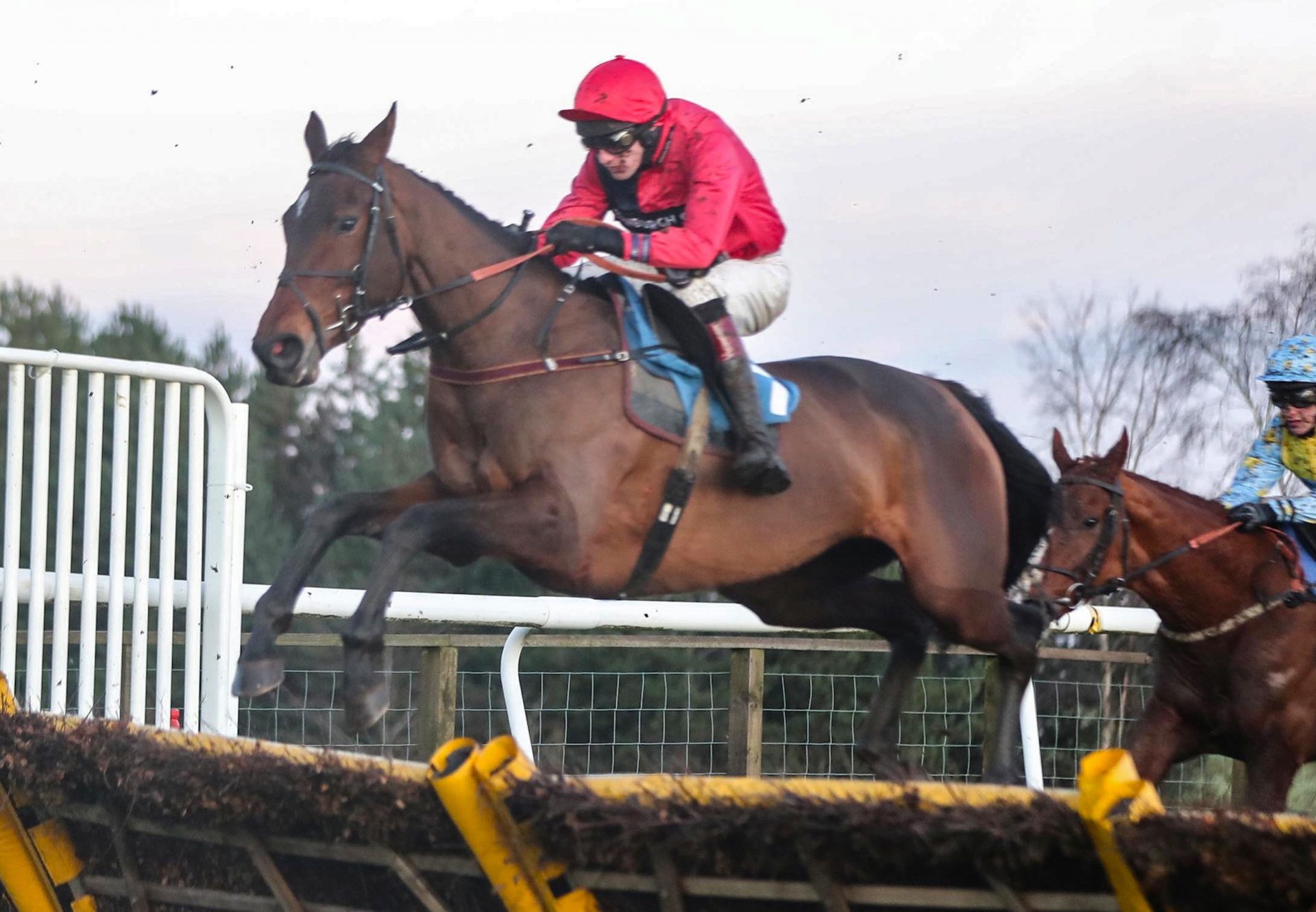 Calle Malva (Getaway) Wins Her Maiden Hurdle at Hexham