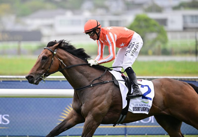 Desert Lightning (Pride Of Dubai) winning the $1 million Aetoeroa Classic at Ellerslie