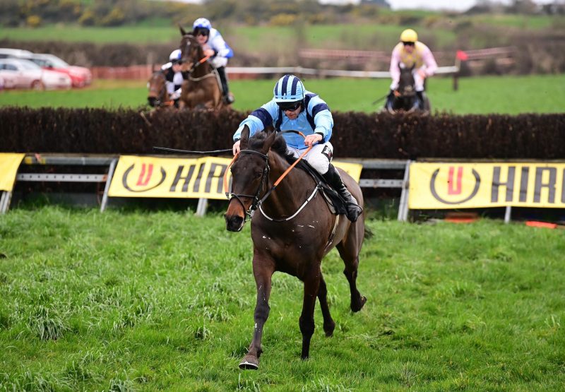 Check The Score (Mahler) Wins The 5YO Geldings Maiden At Kirkistown