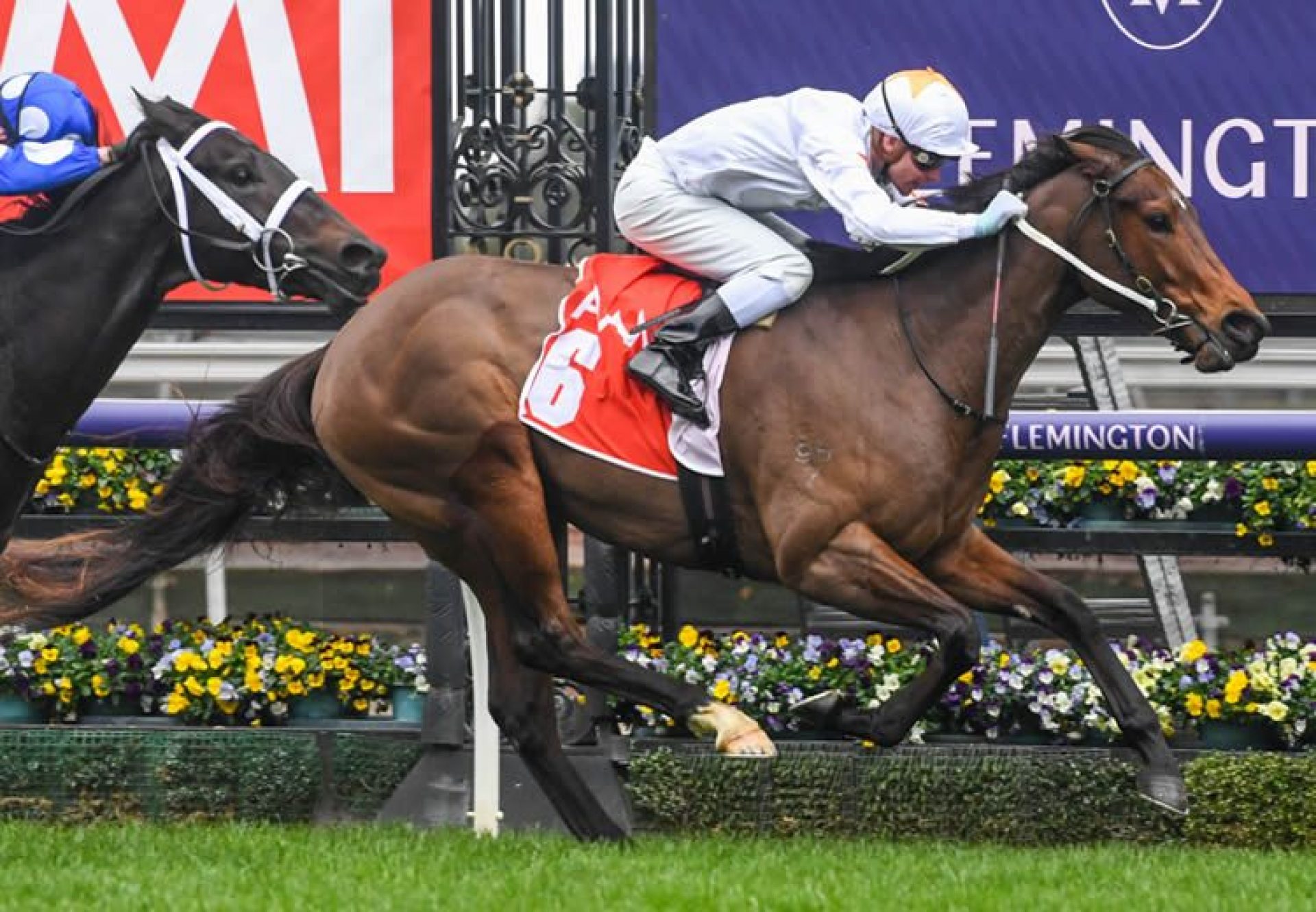 Sense Of Honour (Pride Of Dubai) winning at Flemington