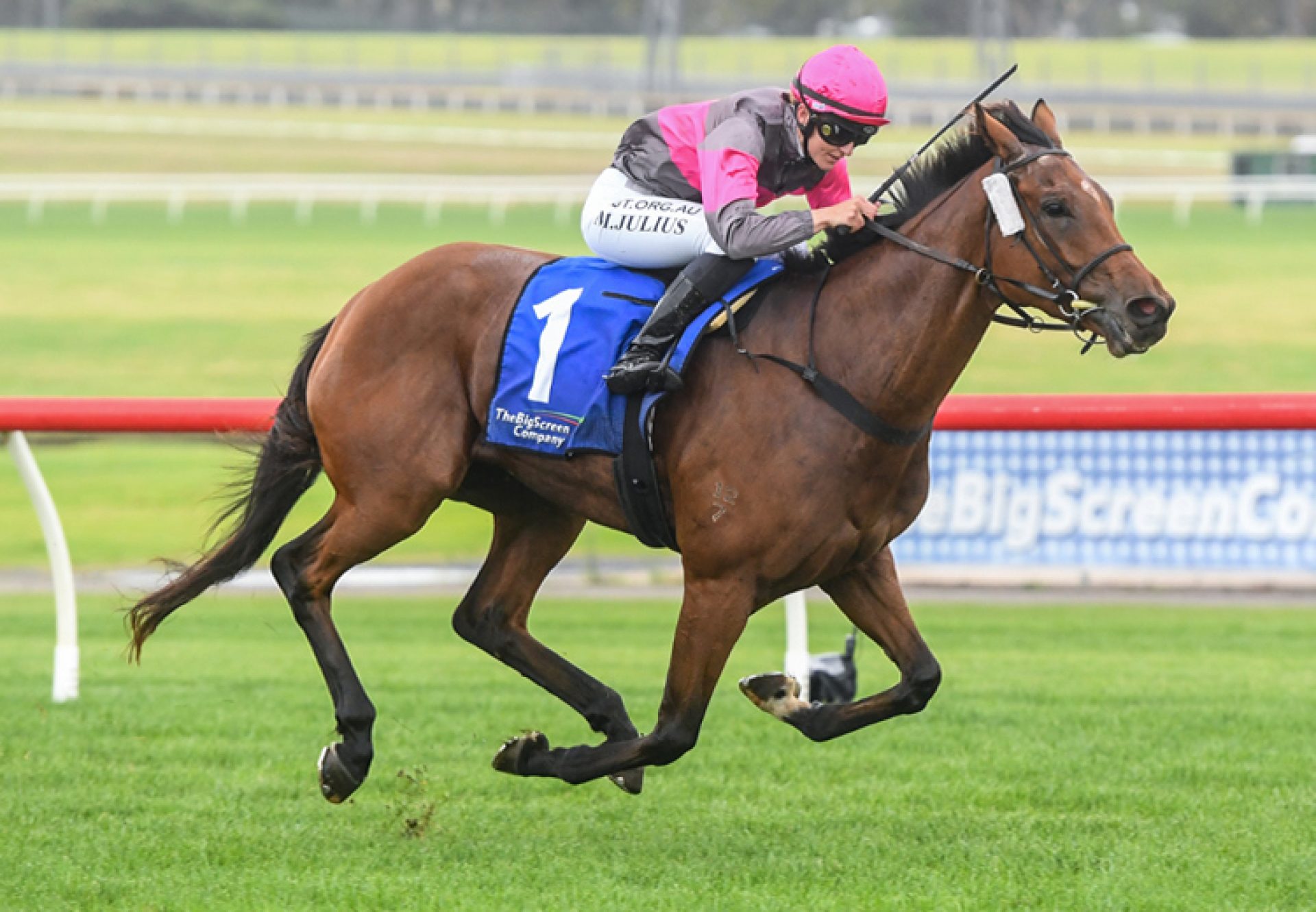 Sirileo Miss (Pride Of Dubai) winning at Sandown