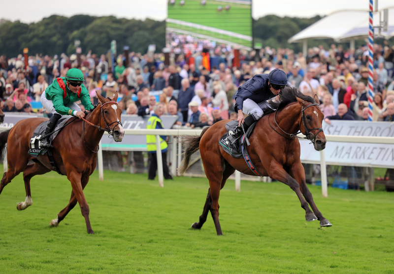 City Of Troy (Justify) Wins Gr 1 Juddmonte International