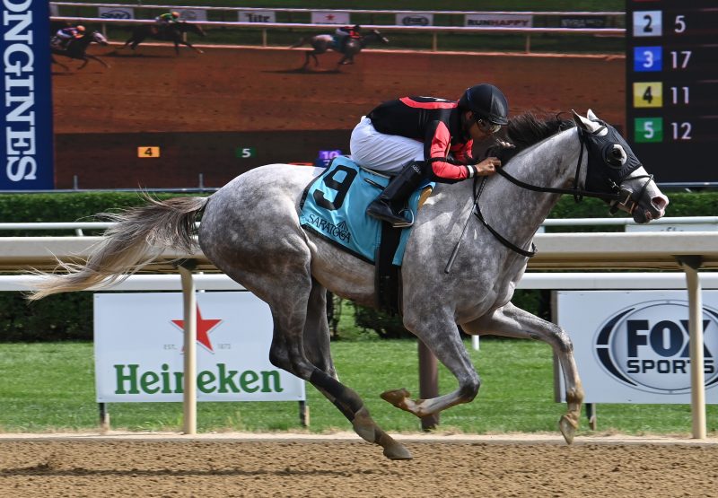 Champions Dream (Justify) Wins MSW at Saratoga