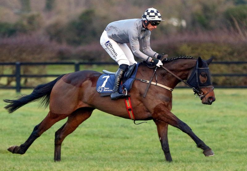 Western Diego (Westerner) Wins The Naas Bumper