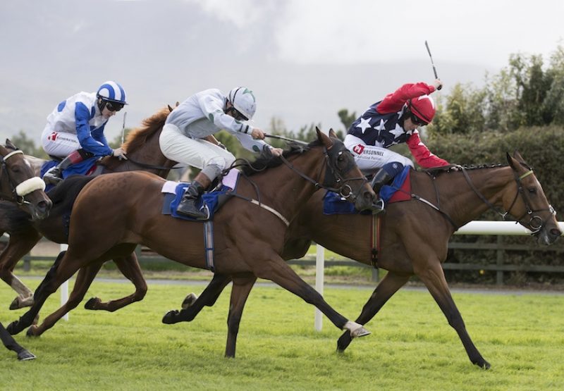 Canary Row (Holy Roman Emperor) winning the Listed Vincent Ruby Stakes at Killarney