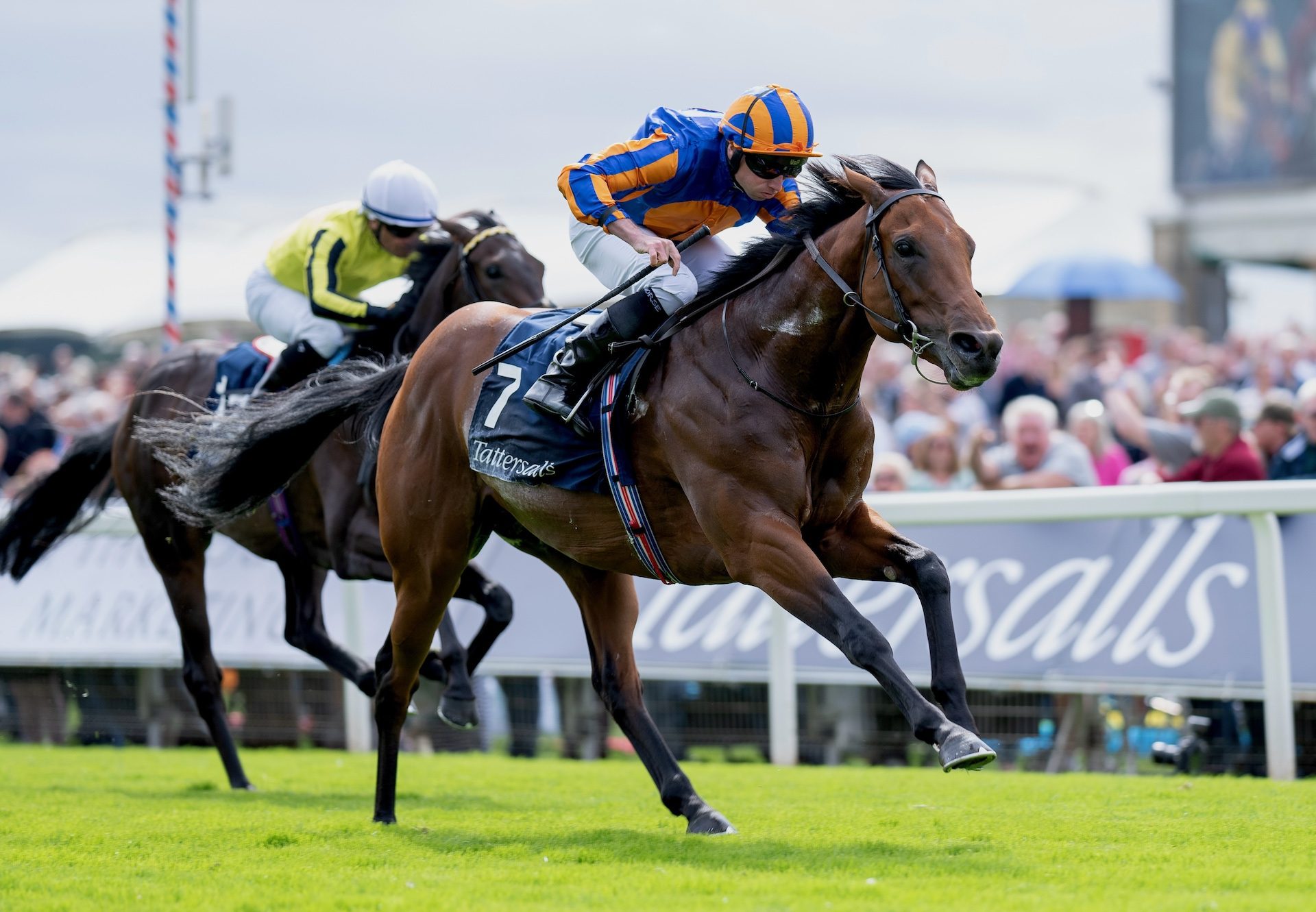 The Lion In Winter Wins The Group 3 Acomb Stakes