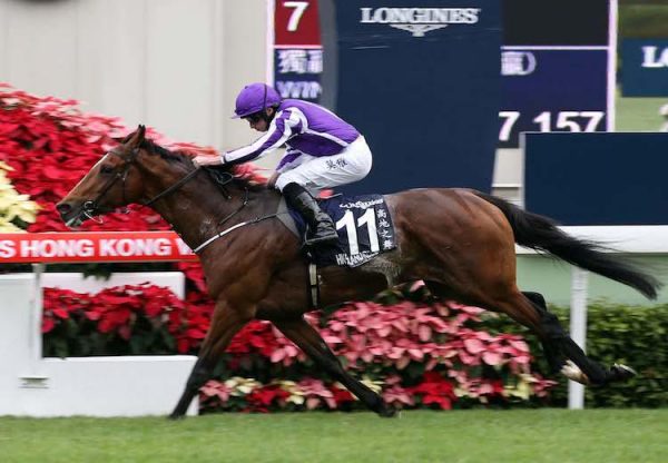 Highland Reel winning the Hong Kong Vase at Sha Tin