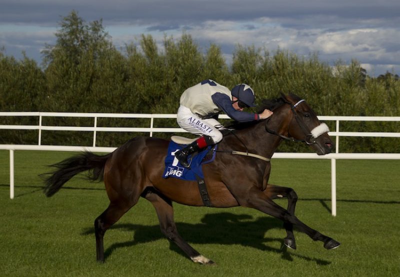 Fascinating Rock (Fastnet Rock)