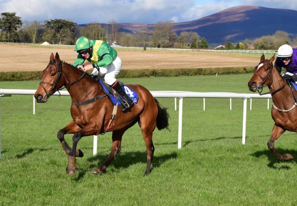 Fresh Appeal (Mahler) winning over hurdles at Clonmel