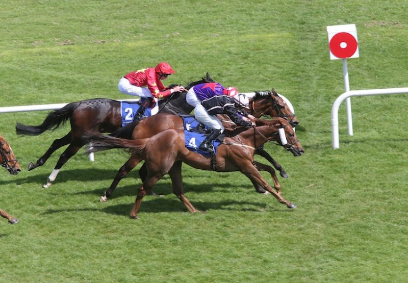 Onenightidreamed (Footstepsinthesand) winning the G3 Amethyst Stakes at Leopardstown