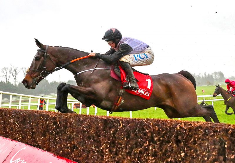 Lisnagar Fortune (Soldier Of Fortune) Makes A Winning Debut At Punchestown