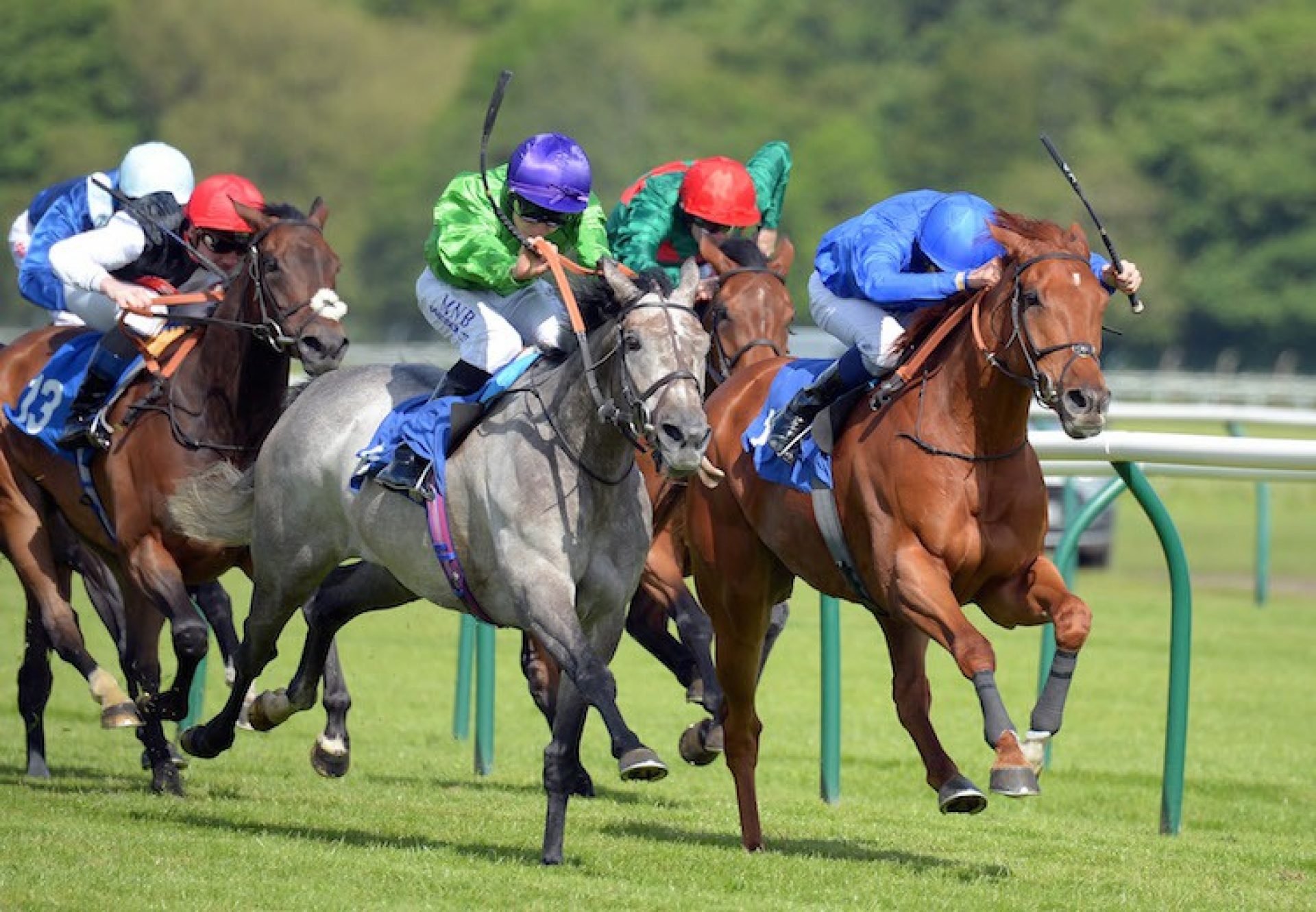 Mutatis Mutandis (Mastercraftsman) winning the Listed Nottinghamshire Oaks at Nottingham