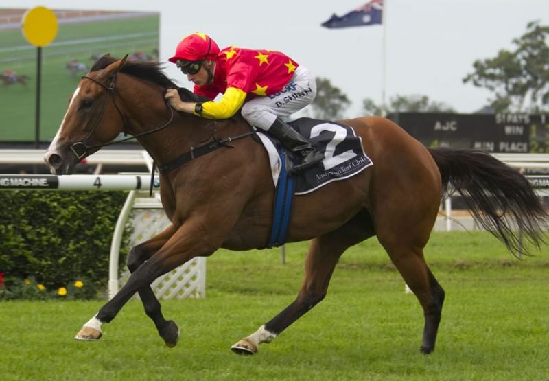 First Seal (Fastnet Rock)