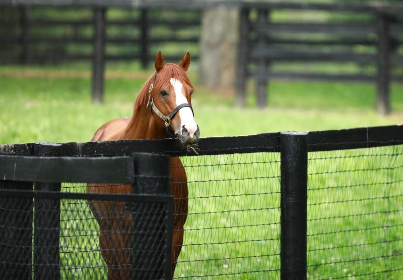 Justify