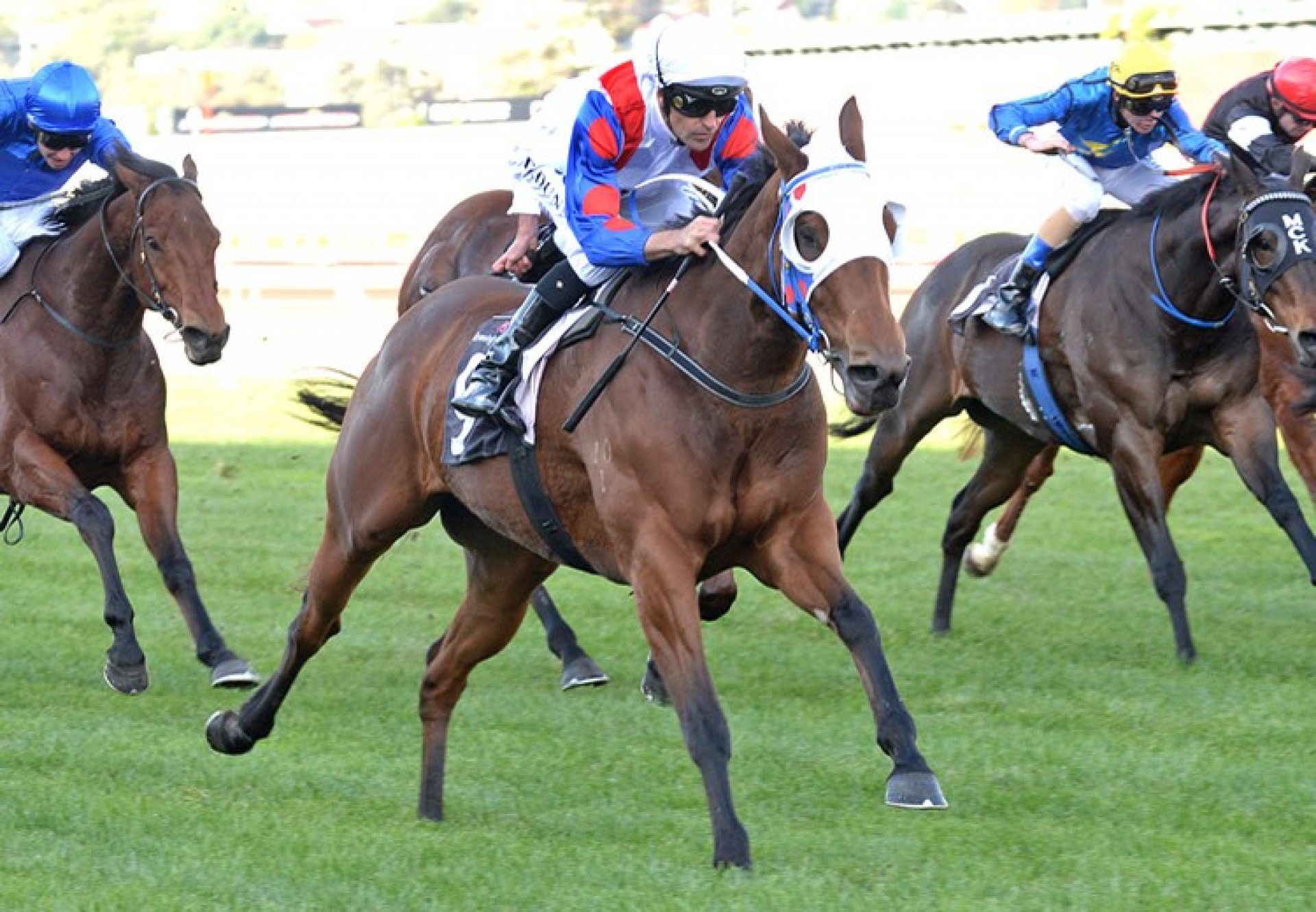 Encanto Bruno (Mahler) Makes A Winning Debut At Ballynoe