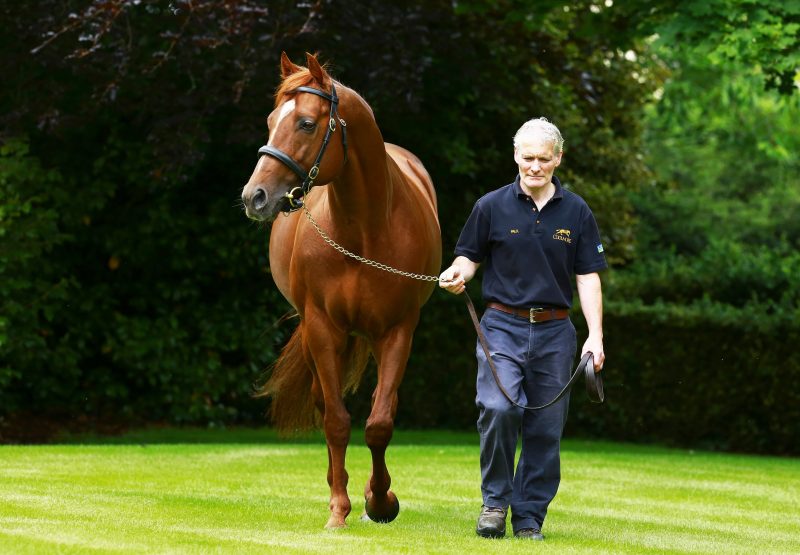 Indian Louis (Mahler) Wins The 5YO Maiden At Aghabullogue