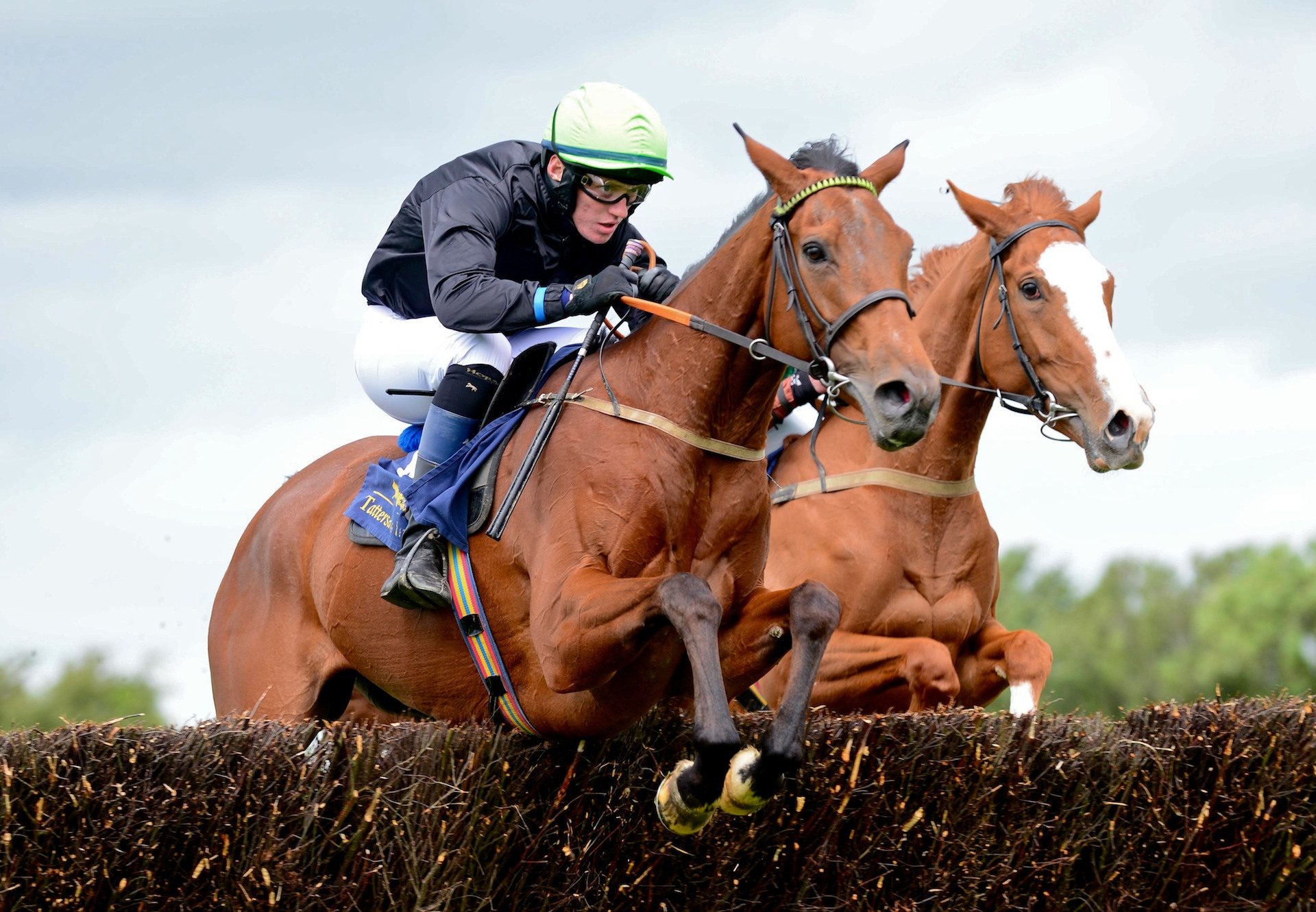 Ticket To LA (Westerner) Wins At Ballingarry