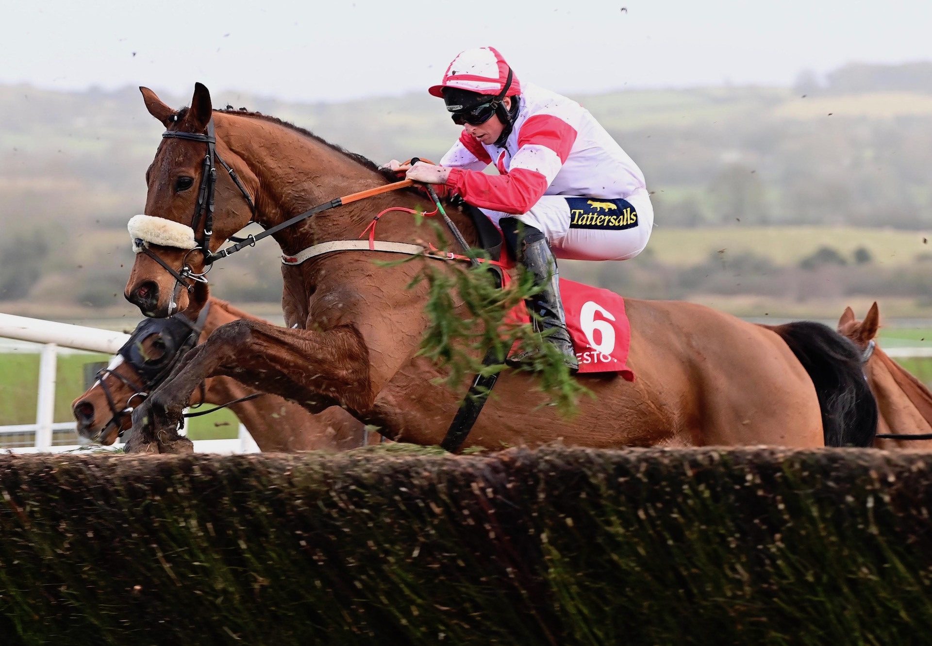 The Big Dog (Mahler) Wins The Punchestown Grand National Trial