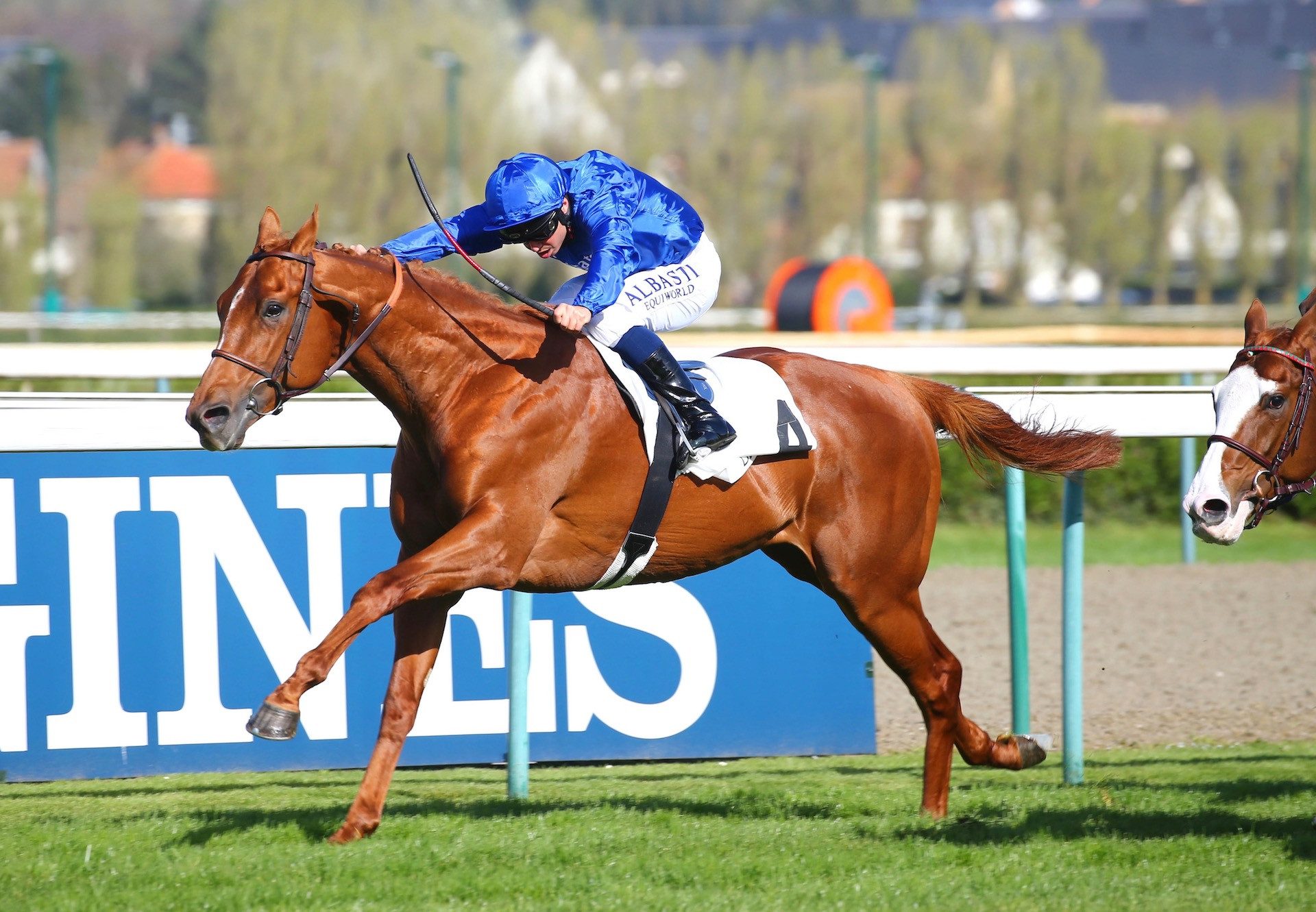 Galashiels (Australia) Makes A Winning Debut At Deauville