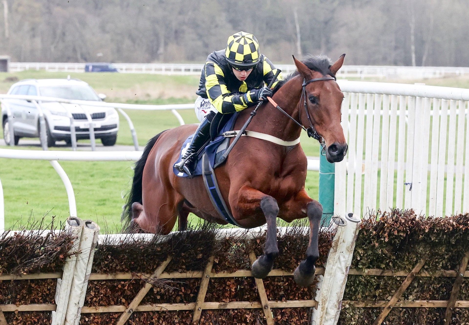 Cold Sobar (Westerner) Wins The Novices Hurdle At Newcastle