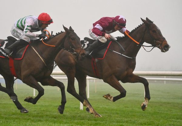 Croke Park Wins The Grade 1 Long Distance Novice Chase At Leopardstown