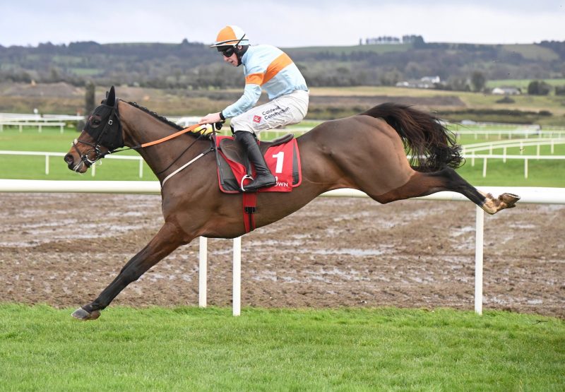 Itswhatunitesus (Walk In The Park) Wins The Rated Novice Hurdle At Punchestown