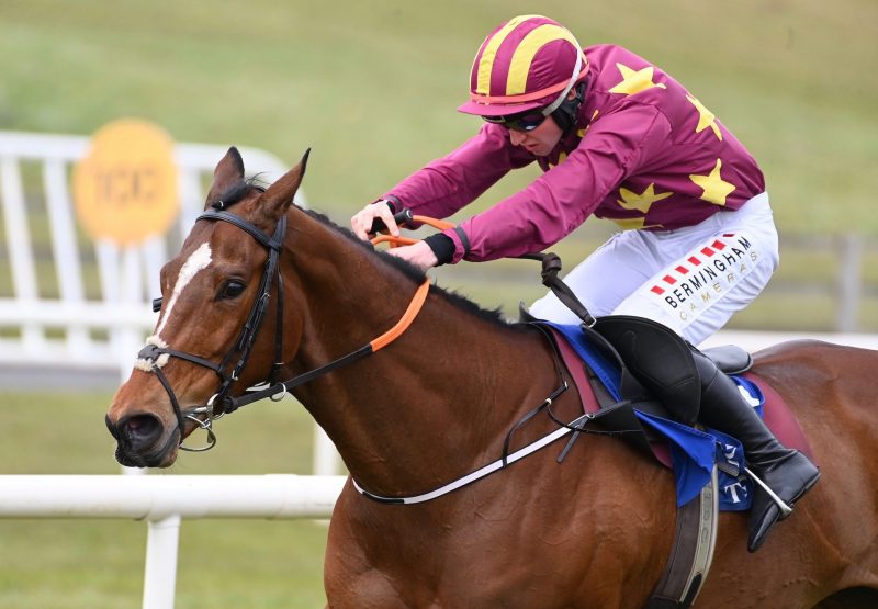 Life In The Park (Walk In The Park) Wins His Maiden Hurdle At Tramore