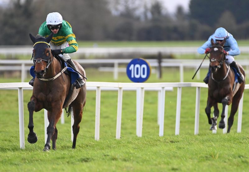 Miss Pronunciation (Walk In The Park) Wins The Rated Novice Hurdle At Fairyhouse